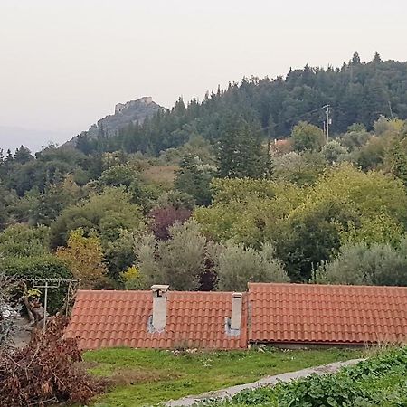 Hostal Luxury House In The Hills EEsparta Exterior foto